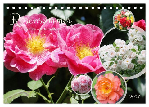 Rosensommer (Tischkalender 2027 DIN A5 quer), CALVENDO Monatskalender