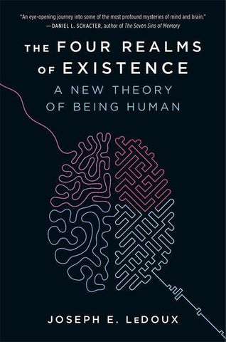 The Four Realms of Existence