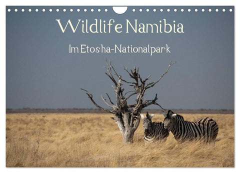 Wildlife Namibia (Wandkalender 2027 DIN A4 quer), CALVENDO Monatskalender