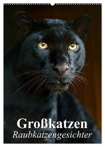 Großkatzen. Raubkatzengesichter (Wandkalender 2027 DIN A2 hoch), CALVENDO Monatskalender