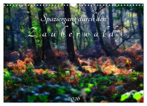 Spaziergang durch den Zauberwald (Wandkalender 2026 DIN A3 quer), CALVENDO Monatskalender