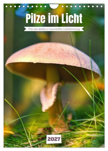 Pilze im Licht (Wandkalender 2027 DIN A4 hoch), CALVENDO Monatskalender