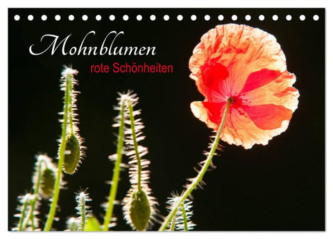 Mohnblumen - rote Schönheiten (Tischkalender 2026 DIN A5 quer), CALVENDO Monatskalender