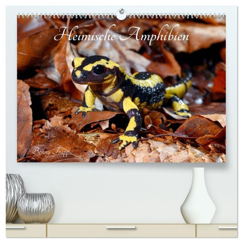 Heimische Amphibien (hochwertiger Premium Wandkalender 2027 DIN A2 quer), Kunstdruck in Hochglanz