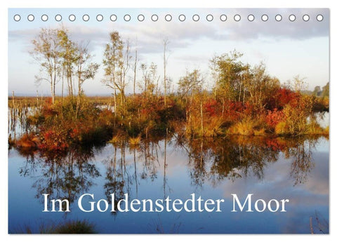 Im Goldenstedter Moor (Tischkalender 2027 DIN A5 quer), CALVENDO Monatskalender