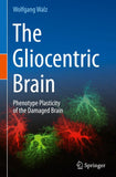 The Gliocentric Brain