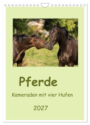 Pferde - Kameraden mit vier Hufen (Wandkalender 2027 DIN A4 hoch), CALVENDO Monatskalender