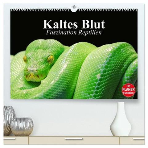 Kaltes Blut. Faszination Reptilien (hochwertiger Premium Wandkalender 2027 DIN A2 quer), Kunstdruck in Hochglanz