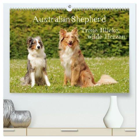 Australian Shepherd - Treue Blicke, wilde Herzen (hochwertiger Premium Wandkalender 2027 DIN A2 quer), Kunstdruck in Hochglanz