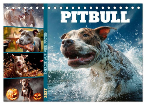 Pitbull - Energie auf vier Pfoten (Tischkalender 2027 DIN A5 quer), CALVENDO Monatskalender