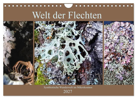 Welt der Flechten (Wandkalender 2027 DIN A4 quer), CALVENDO Monatskalender