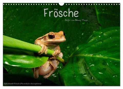 Frösche (Wandkalender 2027 DIN A3 quer), CALVENDO Monatskalender