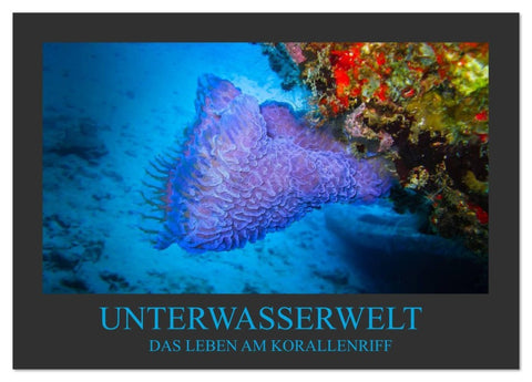 Unterwasserwelt - Das Leben am Korallenriff (Tischkalender 2026 DIN A5 quer), CALVENDO Monatskalender