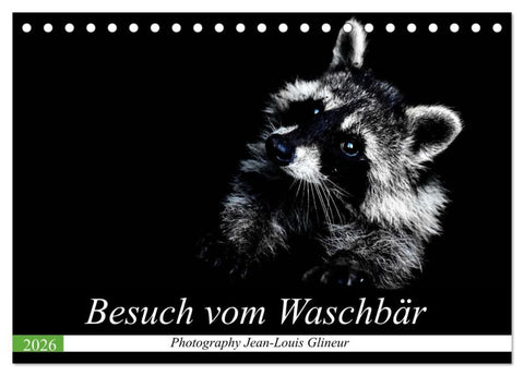 Besuch vom Waschbär (Tischkalender 2026 DIN A5 quer), CALVENDO Monatskalender