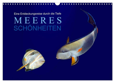 Meeres Schönheiten (Wandkalender 2027 DIN A3 quer), CALVENDO Monatskalender