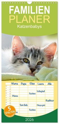 Familienplaner 2026 - Katzenbabys mit 5 Spalten (Wandkalender, 21 x 45 cm) CALVENDO