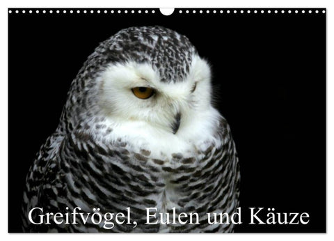 Greifvögel, Eulen und Käuze (Wandkalender 2026 DIN A3 quer), CALVENDO Monatskalender