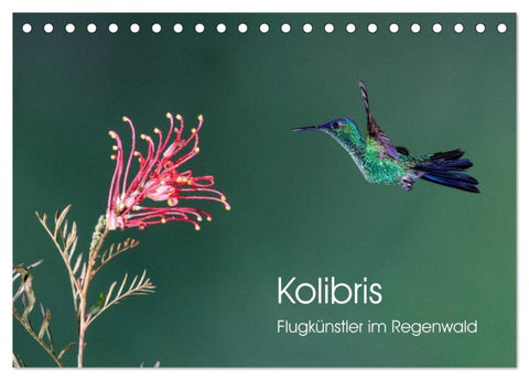 Kolibris - Flugkünstler im Regenwald (Tischkalender 2027 DIN A5 quer), CALVENDO Monatskalender