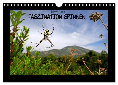 Faszination Spinnen (Wandkalender 2027 DIN A4 quer), CALVENDO Monatskalender