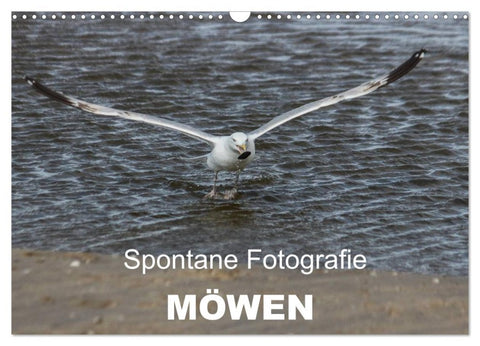 Spontane Fotografie - Möwen (Wandkalender 2026 DIN A3 quer), CALVENDO Monatskalender