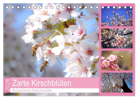 Zarte Kirschblüten - Berauschende Gedankendüfte (Tischkalender 2026 DIN A5 quer), CALVENDO Monatskalender