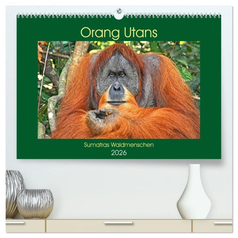 Orang Utans Sumatras Waldmenschen (hochwertiger Premium Wandkalender 2026 DIN A2 quer), Kunstdruck in Hochglanz