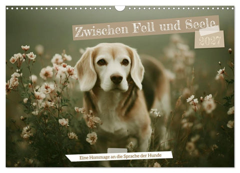 Zwischen Fell und Seele (Wandkalender 2027 DIN A3 quer), CALVENDO Monatskalender