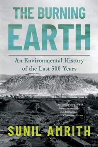 The Burning Earth