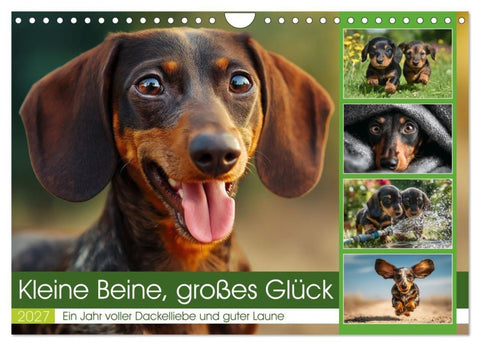 Kleine Beine, großes Glück (Wandkalender 2027 DIN A4 quer), CALVENDO Monatskalender