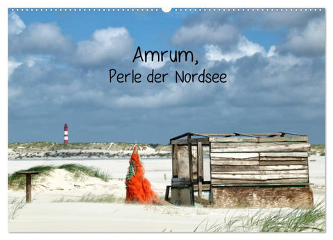 Amrum, Perle der Nordsee (Wandkalender 2026 DIN A2 quer), CALVENDO Monatskalender