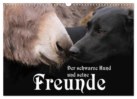 Der schwarze Hund und seine Freunde (Wandkalender 2026 DIN A3 quer), CALVENDO Monatskalender
