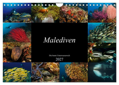Malediven - Die bunte Unterwasserwelt (Wandkalender 2027 DIN A4 quer), CALVENDO Monatskalender