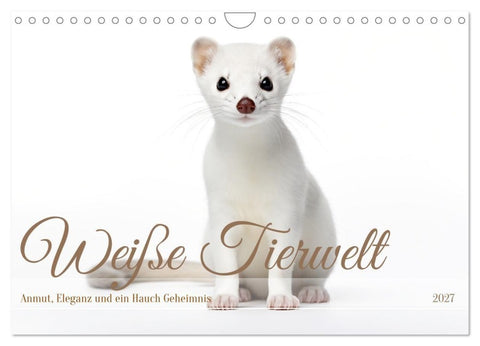Weiße Tierwelt (Wandkalender 2027 DIN A4 quer), CALVENDO Monatskalender