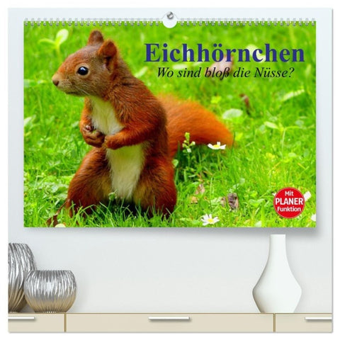 Eichhörnchen. Wo sind bloß die Nüsse? (hochwertiger Premium Wandkalender 2027 DIN A2 quer), Kunstdruck in Hochglanz