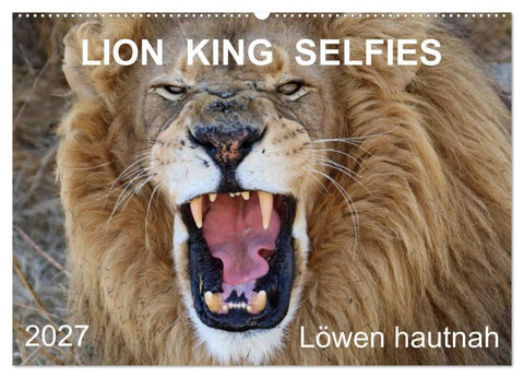 LION KING SELFIES Löwen hautnah (Wandkalender 2027 DIN A2 quer), CALVENDO Monatskalender