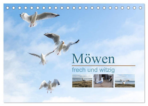 Möwen frech und witzig (Tischkalender 2027 DIN A5 quer), CALVENDO Monatskalender