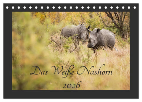 Das Weiße Nashorn (Tischkalender 2026 DIN A5 quer), CALVENDO Monatskalender