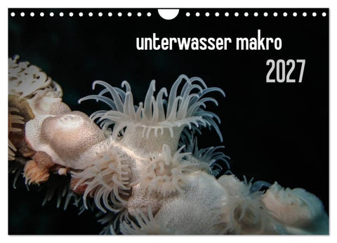 unterwasser makro 2027 (Wandkalender 2027 DIN A4 quer), CALVENDO Monatskalender