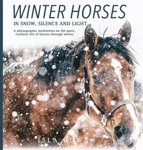 Winter Horses In Snow, Silence and Light