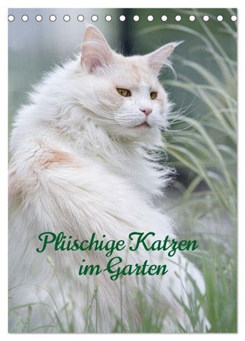 Plüschige Katzen im Garten (Tischkalender 2027 DIN A5 hoch), CALVENDO Monatskalender