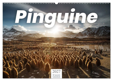 Pinguine - Die sympathischen Frack-Träger (Wandkalender 2027 DIN A2 quer), CALVENDO Monatskalender