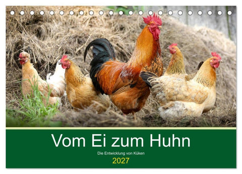 Vom Ei zum Huhn. Die Entwicklung von Küken (Tischkalender 2027 DIN A5 quer), CALVENDO Monatskalender