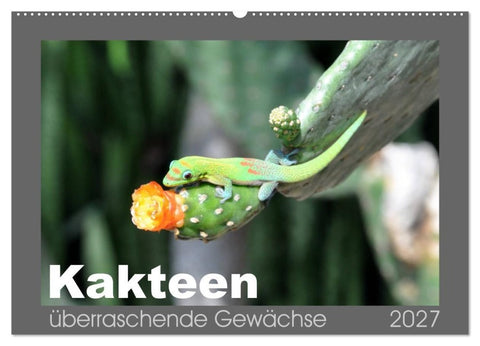 Kakteen - überraschende Gewächse (Wandkalender 2027 DIN A2 quer), CALVENDO Monatskalender