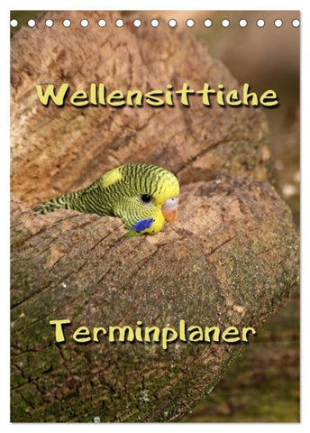 Wellensittiche Terminplaner (Tischkalender 2027 DIN A5 hoch), CALVENDO Monatskalender