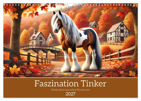 Faszination Tinker (Wandkalender 2027 DIN A3 quer), CALVENDO Monatskalender