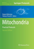 Mitochondria