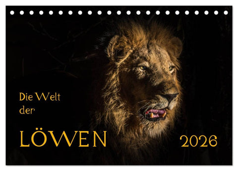 Die Welt der Löwen (Tischkalender 2026 DIN A5 quer), CALVENDO Monatskalender
