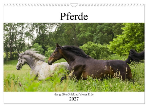 Pferde, das größte Glück auf dieser Erde (Wandkalender 2027 DIN A3 quer), CALVENDO Monatskalender