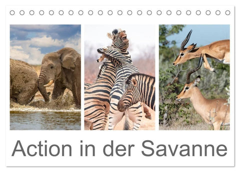 Action in der Savanne (Tischkalender 2027 DIN A5 quer), CALVENDO Monatskalender
