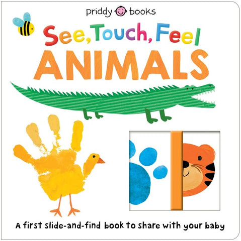 See, Touch, Feel